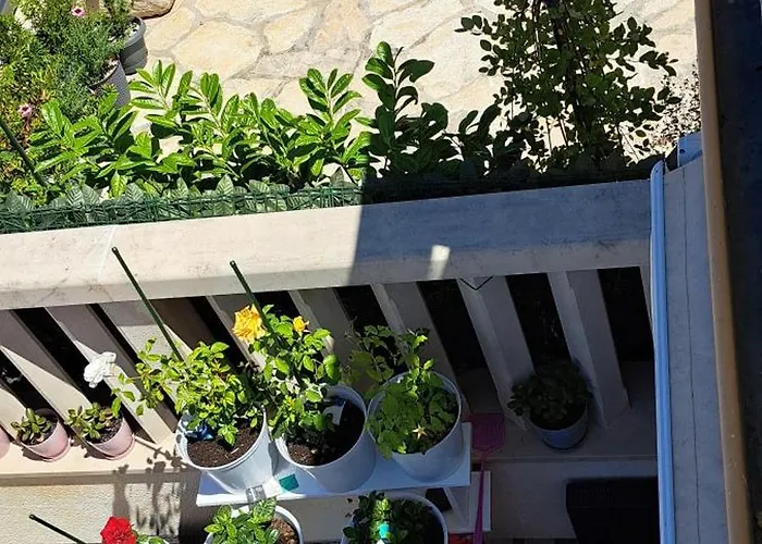 Bella Vista Hvar