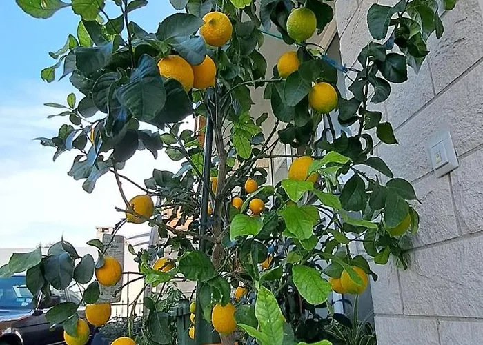 Bella Vista Hvar וילה חוואר